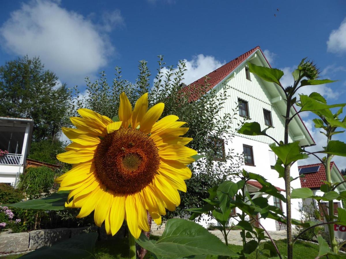 Erholungsraum Karsee - Ferienwohnung Wangen im Allgäu Eksteriør bilde